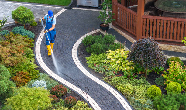 Best Affordable Power Washing  in Lacoste, TX